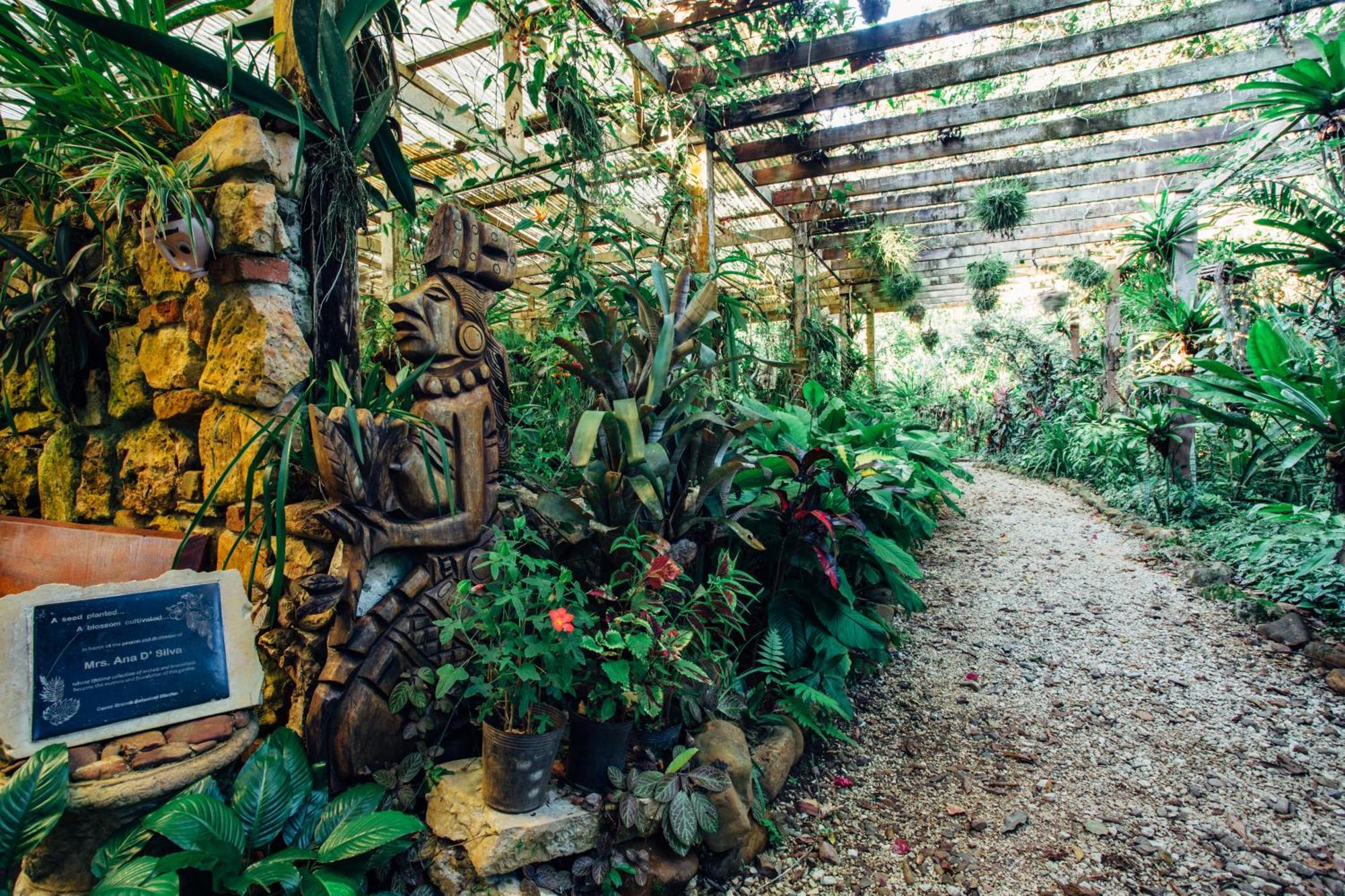Ian Anderson Caves Branch Jungle Lodge Belmopan Exterior photo